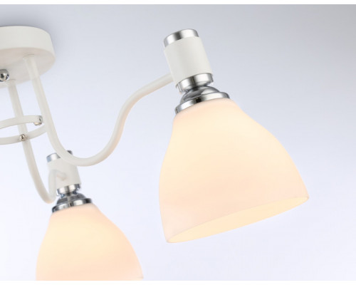 Сделать заказ Накладной светильник Ambrella Light TR303302| VIVID-LIGHT.RU