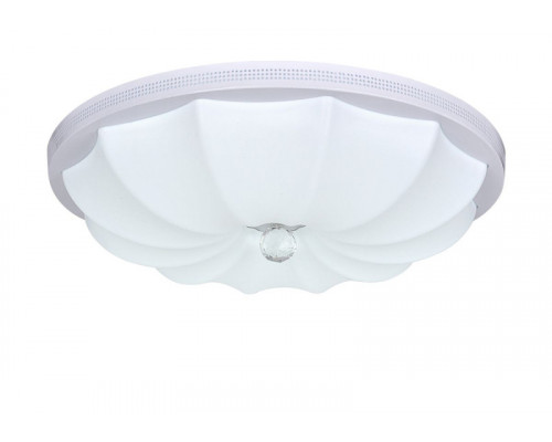 Оформить заказ Накладной светильник Escada 10231/S LED| VIVID-LIGHT.RU