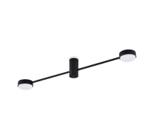 Накладной светильник Freya FR5363CL-02B1