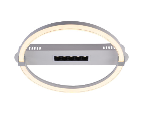 Заказать Накладной светильник Escada 10253/1LED| VIVID-LIGHT.RU