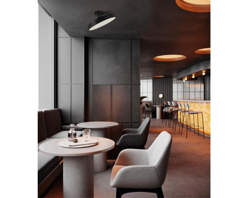 Оформить заказ Накладной светильник Sonex 7656/48L| VIVID-LIGHT.RU