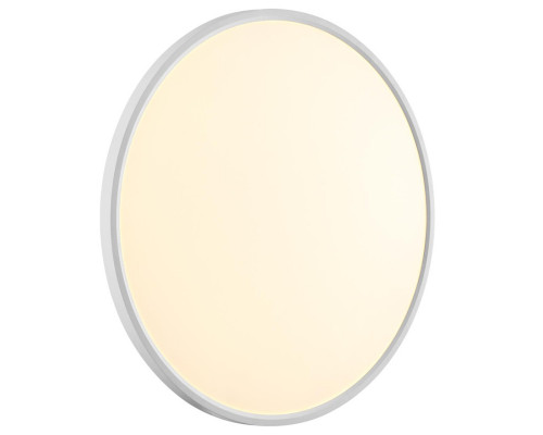 Оформить заказ Накладной светильник Sonex 7659/48L| VIVID-LIGHT.RU