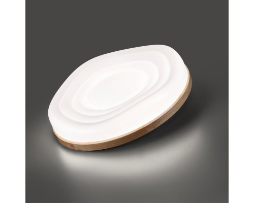 Сделать заказ Накладной светильник Sonex 7674/EL| VIVID-LIGHT.RU