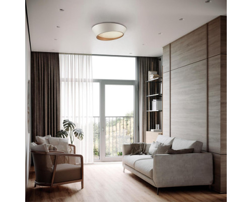 Заказать Накладной светильник Sonex 7693/60L| VIVID-LIGHT.RU