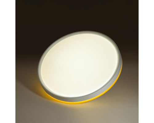 Оформить заказ Накладной светильник Sonex 7709/DL| VIVID-LIGHT.RU