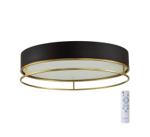 Накладной светильник Sonex 7723/100L