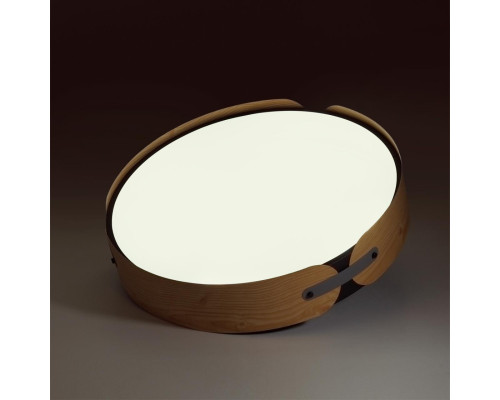 Сделать заказ Накладной светильник Sonex 7721/100L| VIVID-LIGHT.RU