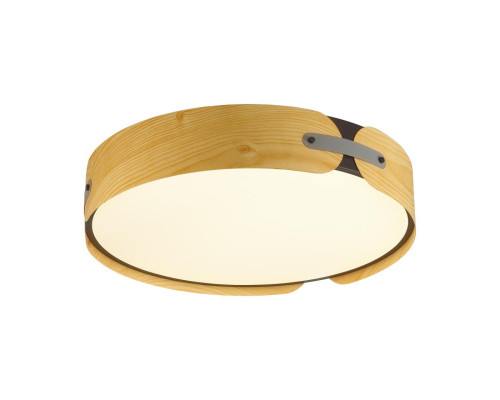 Сделать заказ Накладной светильник Sonex 7721/100L| VIVID-LIGHT.RU