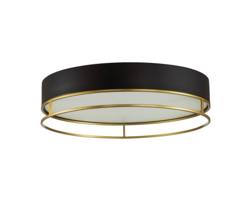 Оформить заказ Накладной светильник Sonex 7723/100L| VIVID-LIGHT.RU