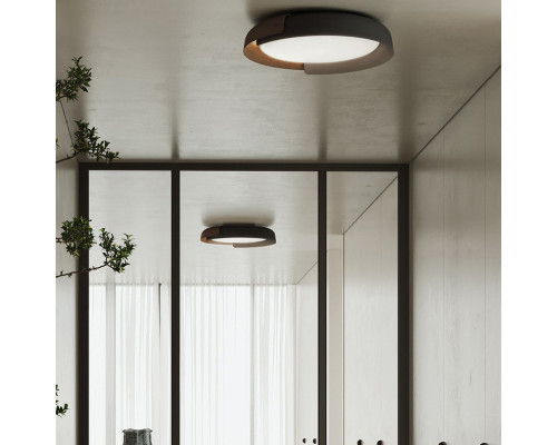 Сделать заказ Накладной светильник ImperiumLoft 223829-23| VIVID-LIGHT.RU