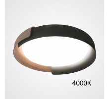 Накладной светильник ImperiumLoft 223831-23