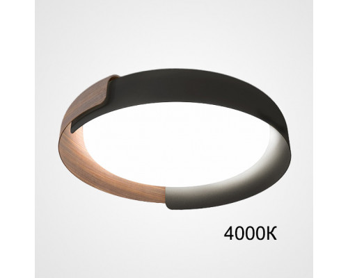 Заказать Накладной светильник ImperiumLoft 223831-23| VIVID-LIGHT.RU