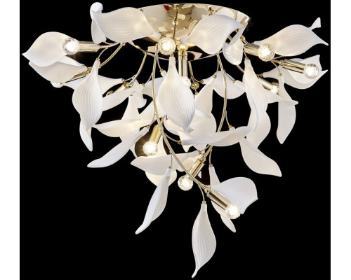 Заказать Накладной светильник WERTMARK WE123.12.307| VIVID-LIGHT.RU