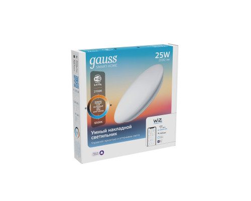 Заказать Накладной светильник Gauss 2050112| VIVID-LIGHT.RU