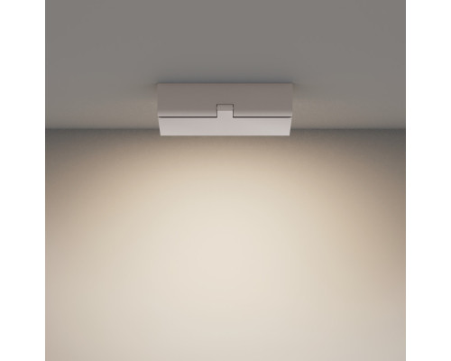 Оформить заказ Накладной светильник Maytoni Technical C133CL-12W4K-W| VIVID-LIGHT.RU