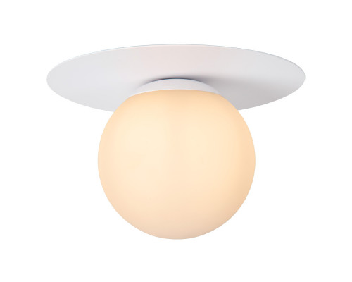 Заказать Накладной светильник LUCIDE 79187/01/31| VIVID-LIGHT.RU