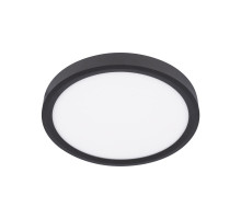 Накладной светильник LOFT IT 10227/24 Black