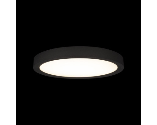 Сделать заказ Накладной светильник LOFT IT 10227/24 Black| VIVID-LIGHT.RU