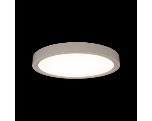 Оформить заказ Накладной светильник LOFT IT 10227/24 White| VIVID-LIGHT.RU