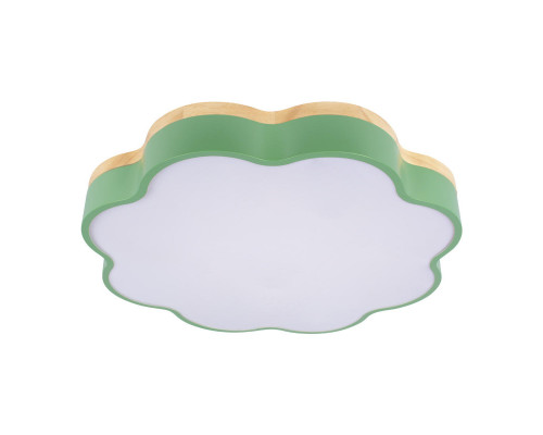 Заказать Накладной светильник LOFT IT 10225/36 Green| VIVID-LIGHT.RU