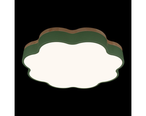 Заказать Накладной светильник LOFT IT 10225/36 Green| VIVID-LIGHT.RU