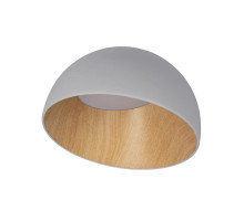 Накладной светильник LOFT IT 10197/350 Grey