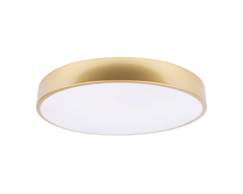 Заказать Накладной светильник LOFT IT 10228/A| VIVID-LIGHT.RU