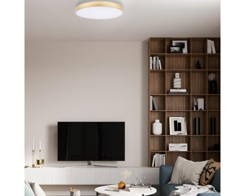 Заказать Накладной светильник LOFT IT 10228/A| VIVID-LIGHT.RU