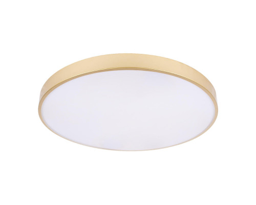 Оформить заказ Накладной светильник LOFT IT 10228/B| VIVID-LIGHT.RU