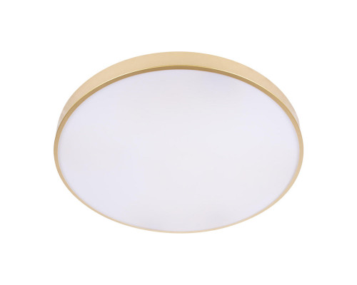 Оформить заказ Накладной светильник LOFT IT 10228/B| VIVID-LIGHT.RU