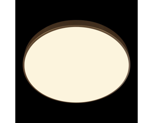 Оформить заказ Накладной светильник LOFT IT 10228/B| VIVID-LIGHT.RU