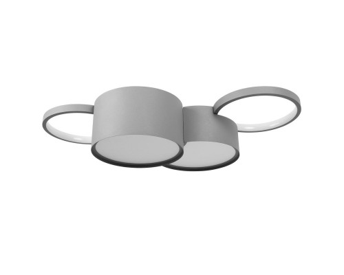 Заказать Накладной светильник LOFT IT 10317/4 Grey| VIVID-LIGHT.RU