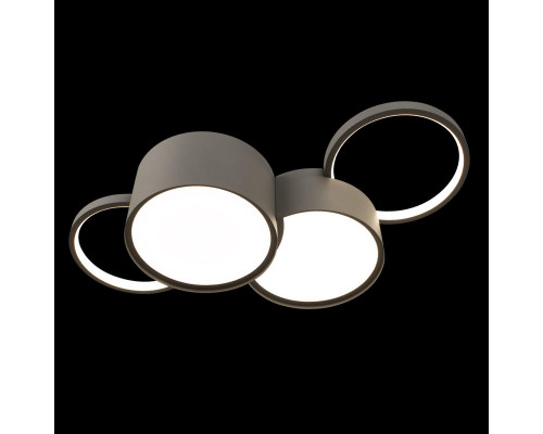 Заказать Накладной светильник LOFT IT 10317/4 Grey| VIVID-LIGHT.RU