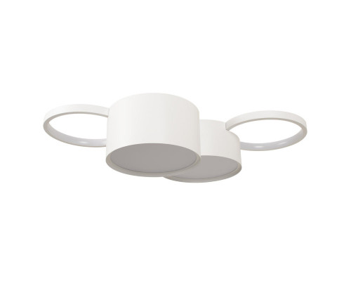 Оформить заказ Накладной светильник LOFT IT 10317/4 White| VIVID-LIGHT.RU