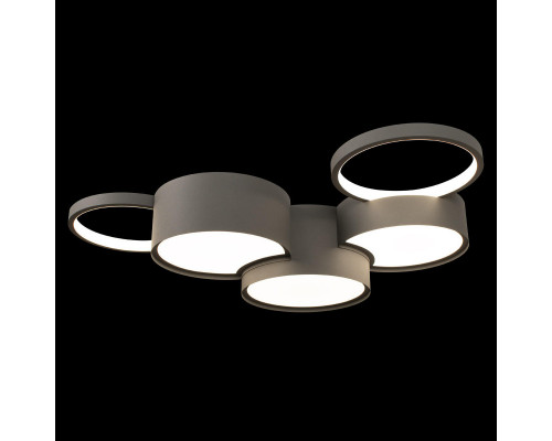 Купить Накладной светильник LOFT IT 10317/5 Grey| VIVID-LIGHT.RU