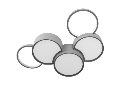 Купить Накладной светильник LOFT IT 10317/5 Grey| VIVID-LIGHT.RU