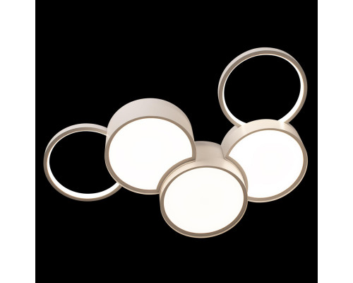 Заказать Накладной светильник LOFT IT 10317/5 White| VIVID-LIGHT.RU