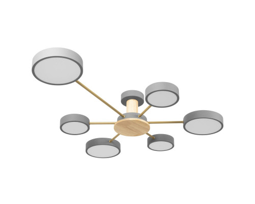 Сделать заказ Накладной светильник LOFT IT 10316/6 Grey| VIVID-LIGHT.RU