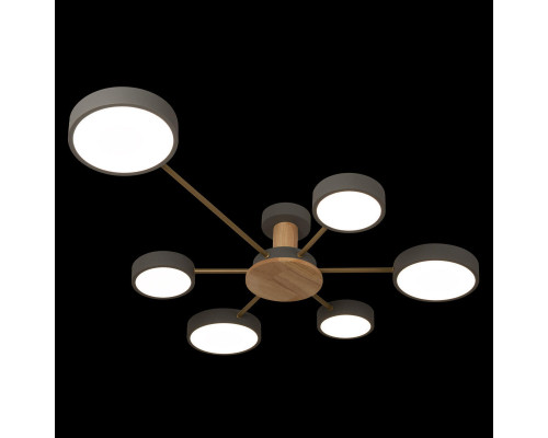 Сделать заказ Накладной светильник LOFT IT 10316/6 Grey| VIVID-LIGHT.RU