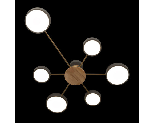 Сделать заказ Накладной светильник LOFT IT 10316/6 Grey| VIVID-LIGHT.RU