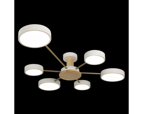 Сделать заказ Накладной светильник LOFT IT 10316/6 White| VIVID-LIGHT.RU