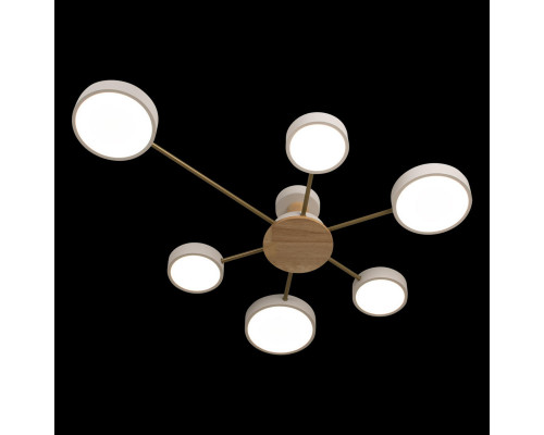 Сделать заказ Накладной светильник LOFT IT 10316/6 White| VIVID-LIGHT.RU