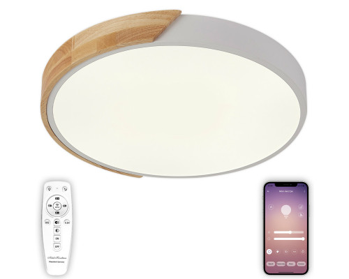 Оформить заказ Накладной светильник Natali Kovaltseva LED LAMPS 81181| VIVID-LIGHT.RU