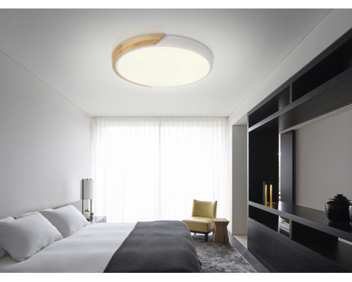 Оформить заказ Накладной светильник Natali Kovaltseva LED LAMPS 81181| VIVID-LIGHT.RU