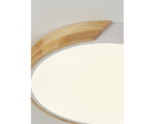 Оформить заказ Накладной светильник Natali Kovaltseva LED LAMPS 81181| VIVID-LIGHT.RU