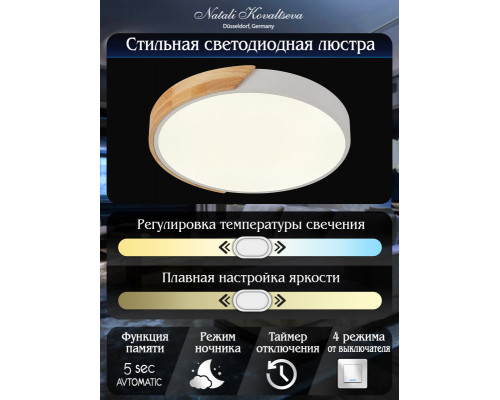 Оформить заказ Накладной светильник Natali Kovaltseva LED LAMPS 81181| VIVID-LIGHT.RU