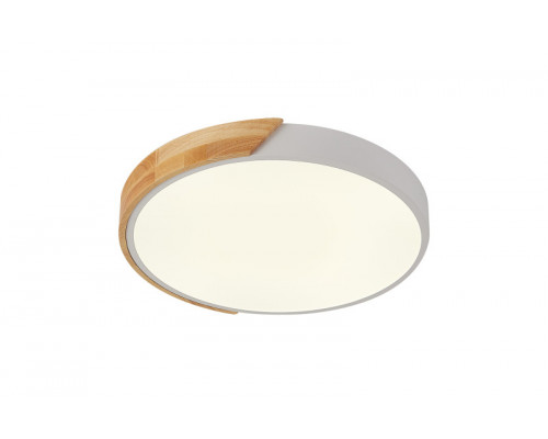 Оформить заказ Накладной светильник Natali Kovaltseva LED LAMPS 81181| VIVID-LIGHT.RU