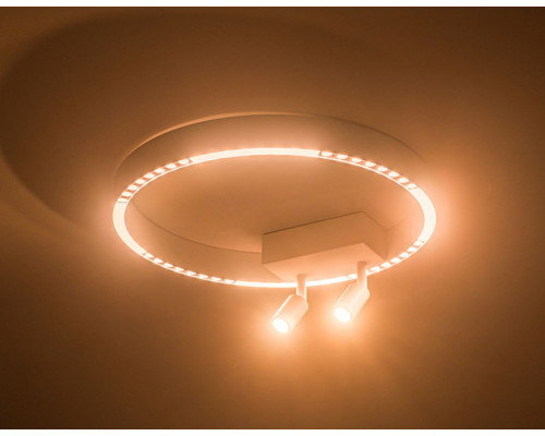 Купить Накладной светильник Ambrella Light FL5805| VIVID-LIGHT.RU