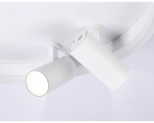 Купить Накладной светильник Ambrella Light FL5112| VIVID-LIGHT.RU