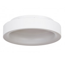 Накладной светильник MyFar MR2194-1PL